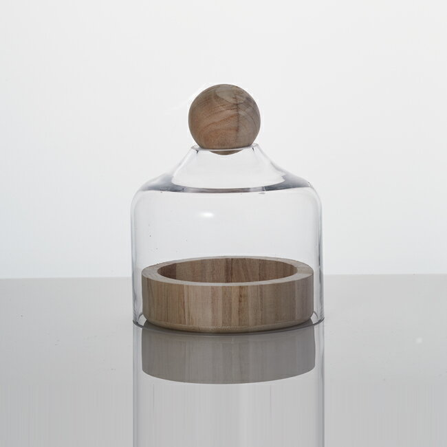 樂天商城 - テラリウム SH　≪植木鉢 ガーデン雑貨 テラリウム おしゃれ かわいい 多肉植物 インテリア≫