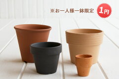 https://thumbnail.image.rakuten.co.jp/@0_mall/barge-ec/cabinet/k4/1yen.jpg