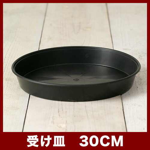 PE �ɿ好������ 30��ݥꥨ������� ��ϳ���ɻ� ����ȭ ȭ���С� �����ǥ󻨲� �����ǥ�ġ����