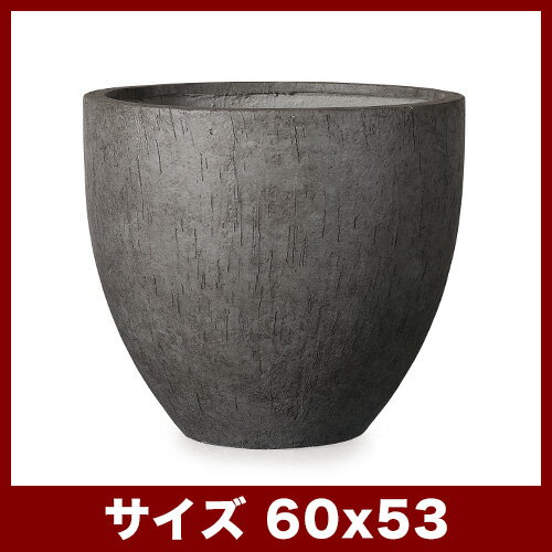 �����ȥ� �٥��롼�ȡ�60���㿢��ȭ �緿 ���� ������� �ե����С������ȥץ�󥿡� ���� ���� ȭ���С���