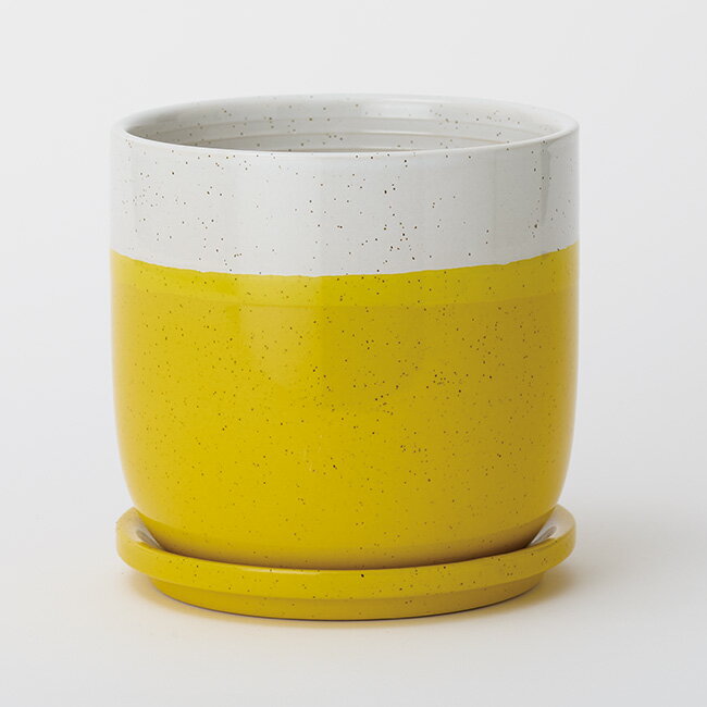 受け皿付き陶器鉢 レーニ14【植木鉢 おしゃれ ガーデン雑貨 かわいい インテリア 室内 屋内 】