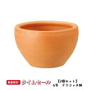 【夏の応援フェス】【2個セット】テラコッタ E26 Sサイズ 6号鉢 ≪植木鉢/陶器/白系テラコッタ/素焼き鉢/セール対象4J/セール対象1≫