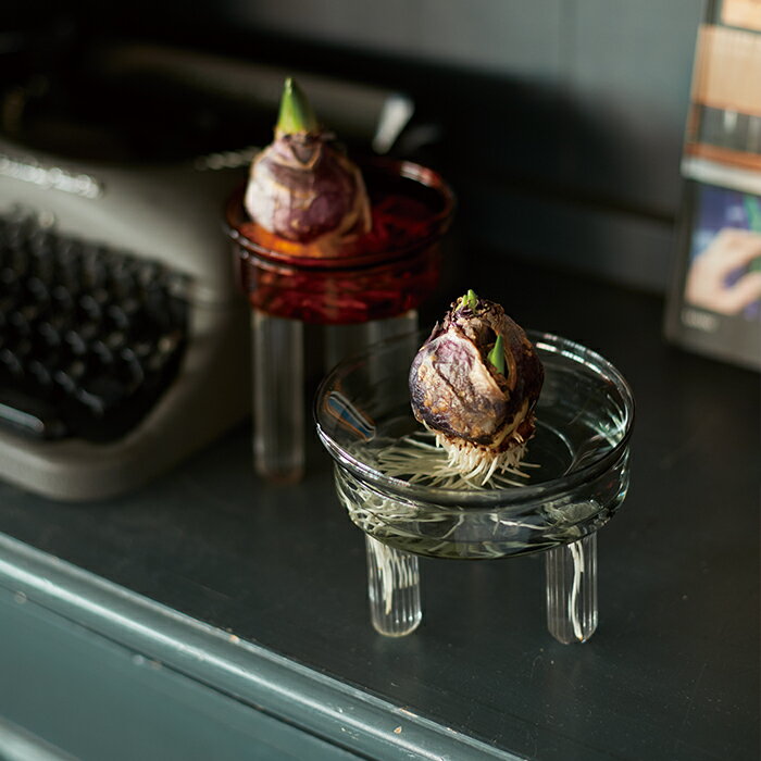 ゾーエ バルブトレイ 9 ≪植木鉢 ガーデン雑貨 ガラス おしゃれ かわいい フラワーベース 花瓶 水栽培 球根 水耕栽培 サボテン インテリア FARM2 セ...