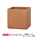 【夏の応援フェス】【2個セット】テラコッタ BX1MS Sサイズ 7号鉢 ≪植木鉢 陶器 テラコッタ・素焼き鉢系/セール対象4J/セール対象3≫