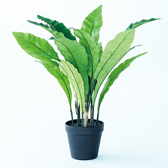 【造花】【フェイクグリーン】 アスプレニウム ポット 45 【インテリア 観葉植物 人工植物 おしゃれ イ..
