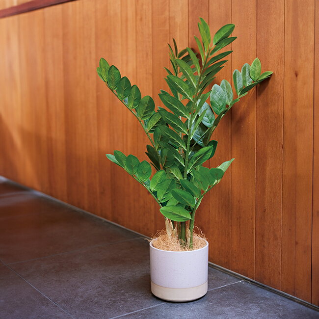 【造花】【フェイクグリーン】 ザミオクルカス ポット 70 【インテリア 観葉植物 人工植物 おしゃれ イミテーション 】