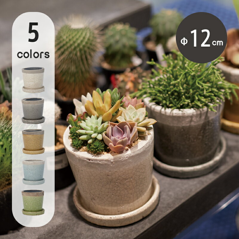 楽天市場】4号 鉢(植木鉢・プランター|ガーデニング・農業 楽天市場】4号 鉢(植木鉢・プランター|ガーデニング・農業