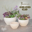 サフィ 40W 3点セット (6/8/10号鉢) ≪おしゃれな植木鉢 陶器 白系テラコッタ 素焼き≫