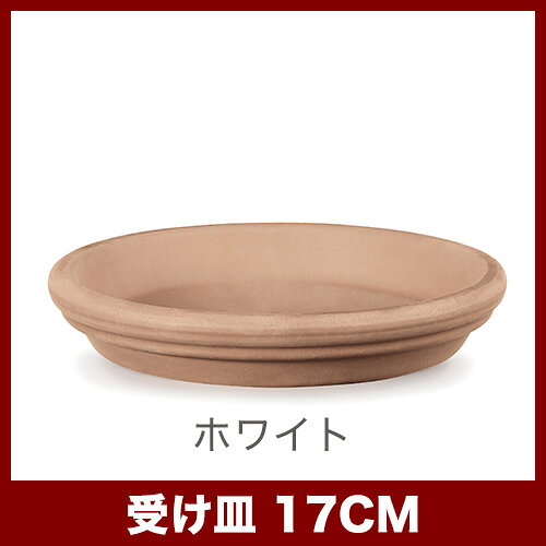 ソーサーD 17 　≪植木鉢 イタリアンテラコッタ鉢 素焼き鉢 イタリア deroma デローマ≫