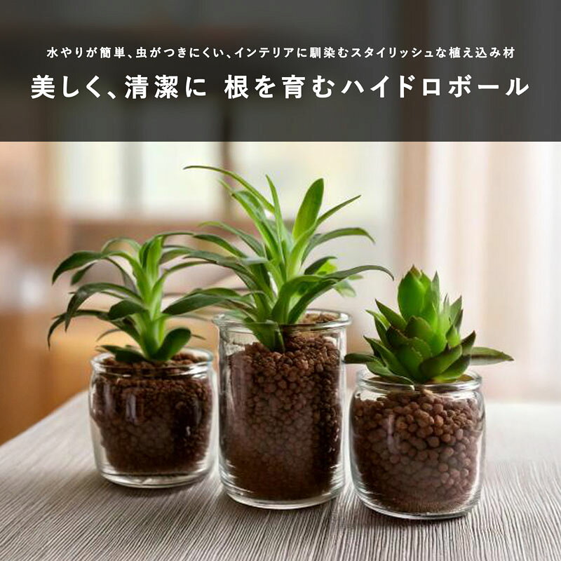 植木鉢・テラコッタ専門店 バージの【水耕栽培】The SOIL(ザ・ソイル) ハイドロボール 5L【土より軽量】【ハイドロカルチャー】｜アングル2