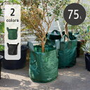 プランターバッグ 75L ≪植木鉢 大型 軽量 おしゃれ プラスチック≫