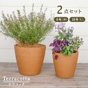 テラコッタ E23 L・M 2点セット(10/8号鉢)≪植木鉢 陶器 テラコッタ・素焼き鉢系≫