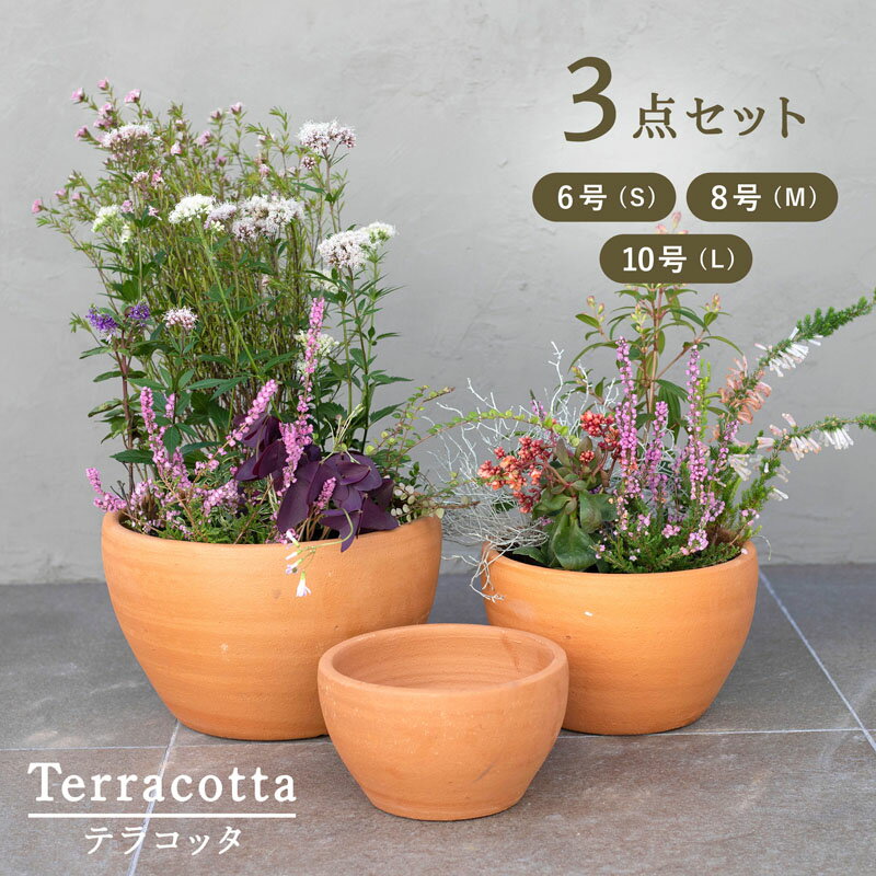 楽天市場】植木鉢 テラコッタ 10号の通販 楽天市場】植木鉢 テラコッタ 10号の通販
