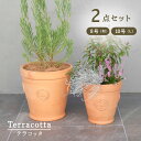 テラコッタ E39 L・M 2点セット (8/10号鉢) ≪植木鉢 陶器 テラコッタ・素焼き鉢系≫