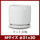 barge-ec:10009201のサンプル画像3