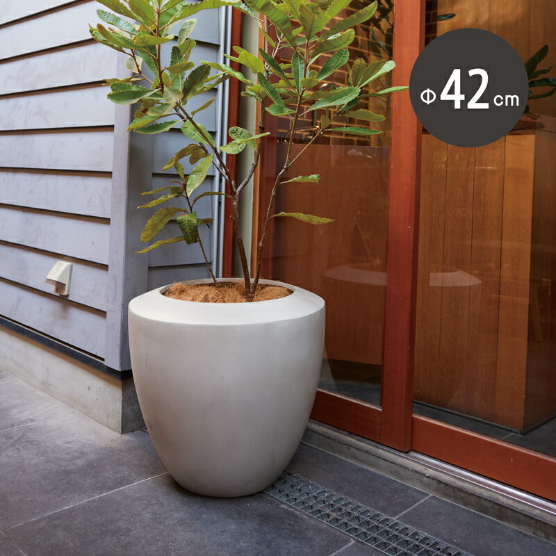 Rakuten - ベトラ　ユリウス　42　≪大型植木鉢 陶器・テラコッタより軽量なセメントプランター≫