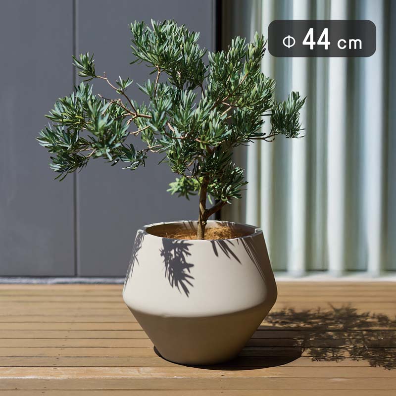 樂天商城 - ベトラ ルビコン L 44　≪大型植木鉢 陶器・テラコッタより軽量なセメントプランター≫