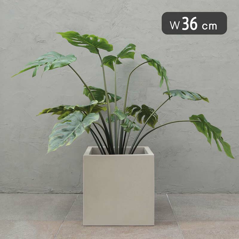 Rakuten - ベトラ アレア M 36　≪大型植木鉢 陶器・テラコッタより軽量なセメントプランター≫