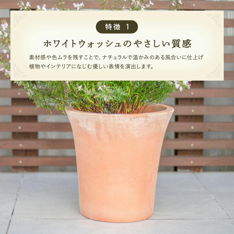 PJ���󥰥ȥࡡ3�����å� ���㿢��ȭ ������� �󤻿��� ƫ�� �ƥ饳�å� �ǾƤ�ȭ��