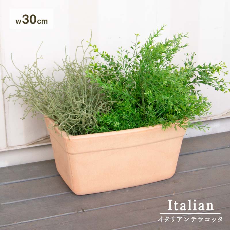 乐天商城 - カセッタ ベネチア アリーナ ≪植木鉢 イタリアンテラコッタ鉢 素焼き鉢 イタリア ハーブ 横長≫