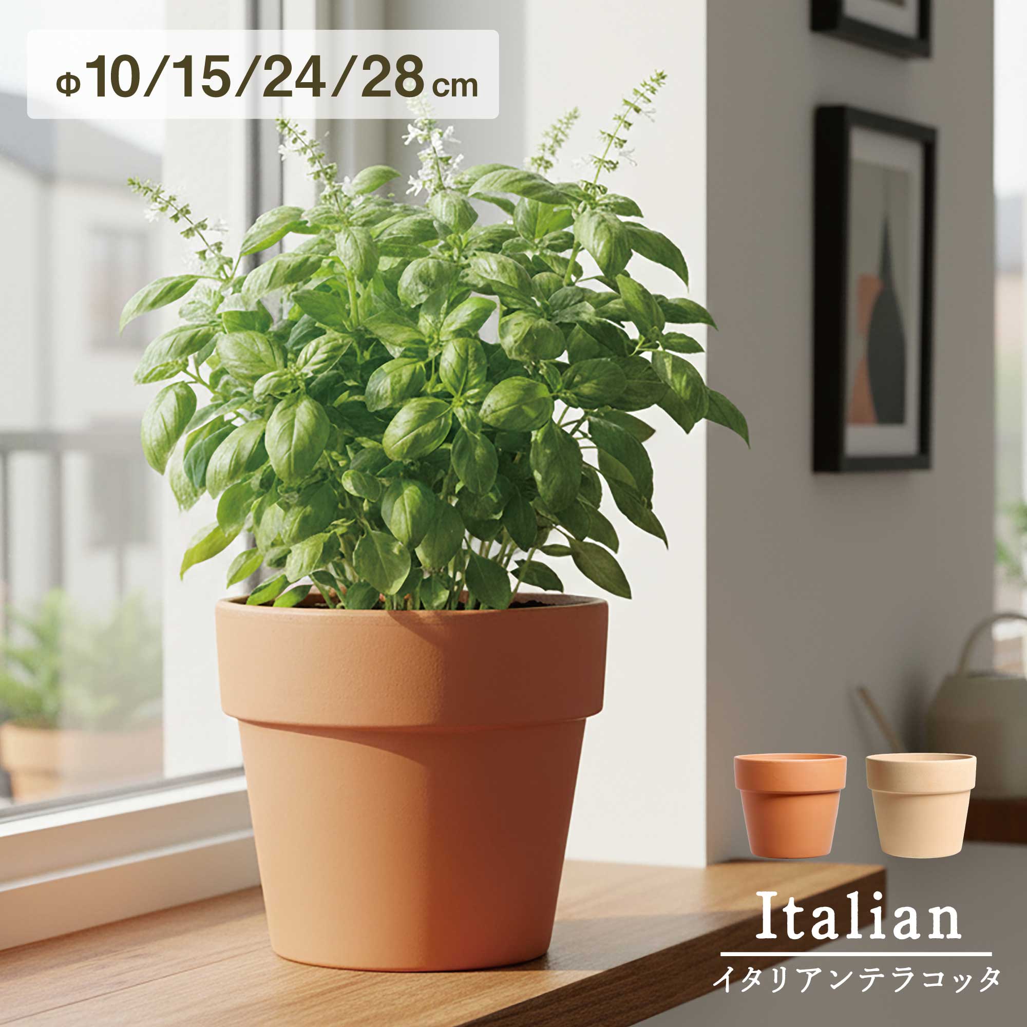 イタリアンテラコッタ ヴァソ カノーヴァ アリーナ / クラシカ Φ28 / 24 / 15 / 10 cm 　≪植木鉢 イタリアンテラコッタ鉢 素焼き鉢 イタリア ≫