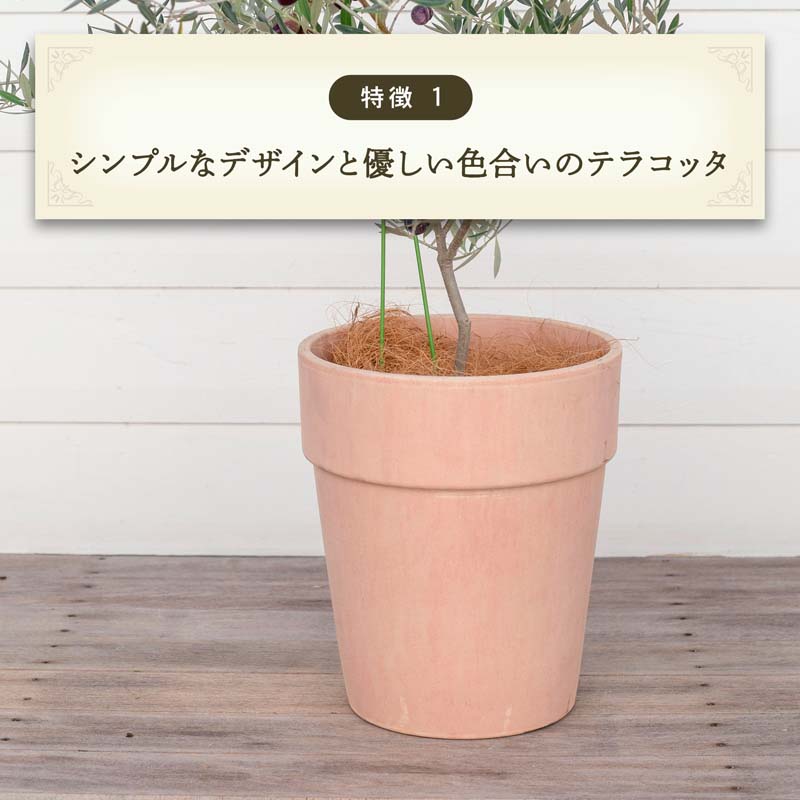 ����ȡ����꡼�ʡ�8�� ���㿢��ȭ �����ꥢ��ƥ饳�å�ȭ �ǾƤ�ȭ �����ꥢ��