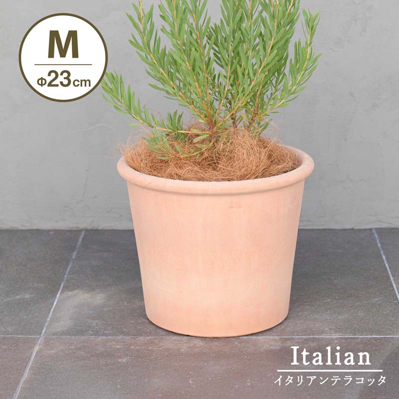 楽天市場】植木鉢 大型（原産国/製造国イタリア）（花・ガーデン・DIY