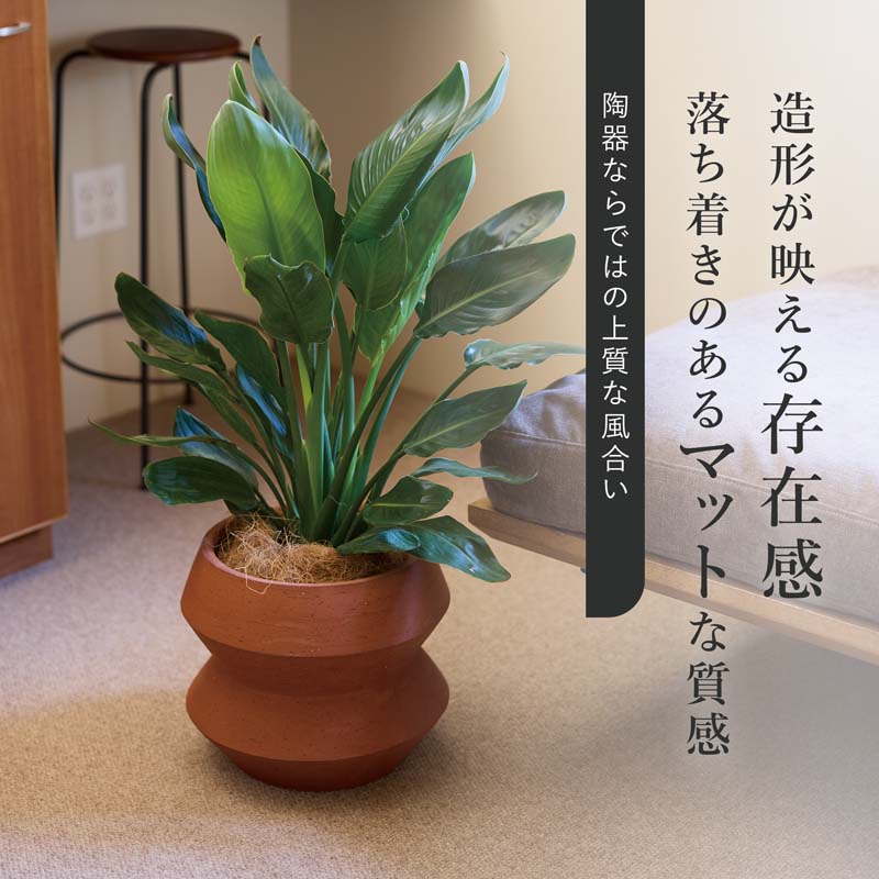 ルケト　エメ　M 6号用　≪植木鉢 鉢カバー 中型 インドア おしゃれ 陶器≫