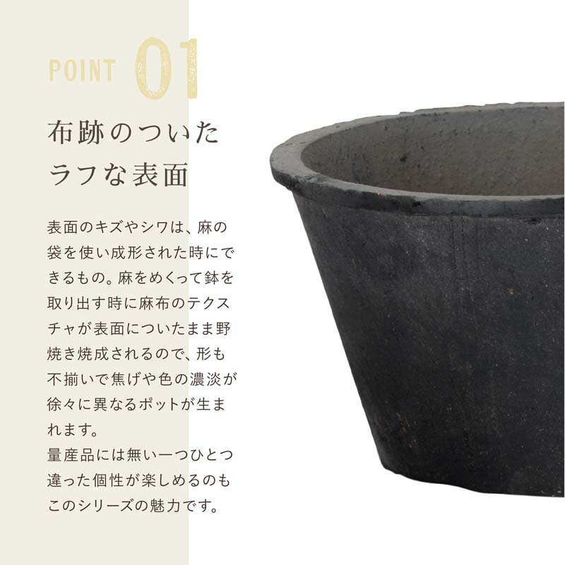 �ڿ���ȭ�ۡ��ǾƤ�ȭ�ۥ⥹�ݥå� 100LL 8��ڿ���ȭ �������ʿ���ȭ ȭ �ƥ饳�å� �ǾƤ�ȭ ƫ��ȭ��