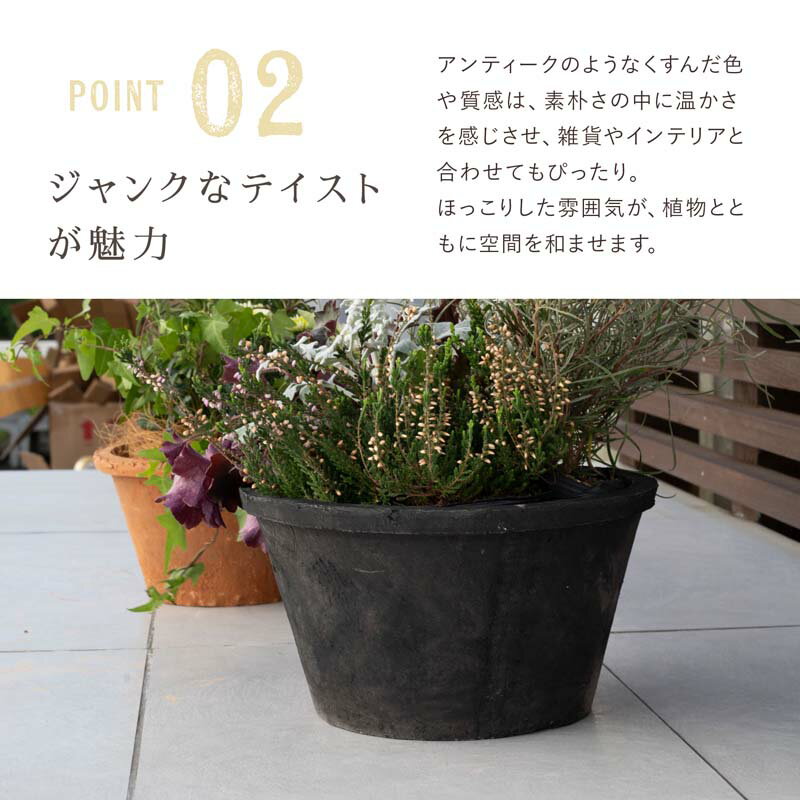 �ڿ���ȭ�ۡ��ǾƤ�ȭ�ۥ⥹�ݥå� 100M 5��ڿ���ȭ �������ʿ���ȭ ȭ �ƥ饳�å� �ǾƤ�ȭ ƫ��ȭ��