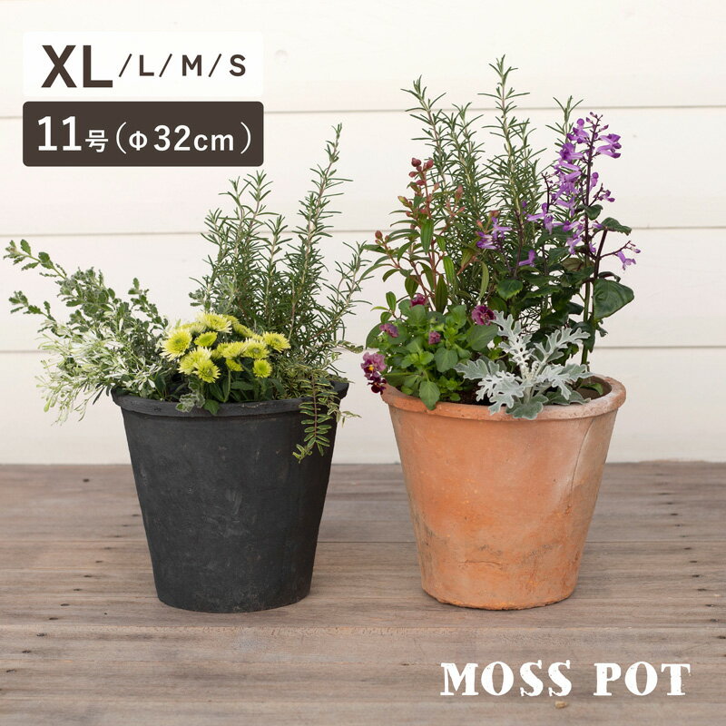 モスポット 400LL 11号 ≪植木鉢 おしゃれ ラフ 陶器 テラコッタ 素焼き鉢≫