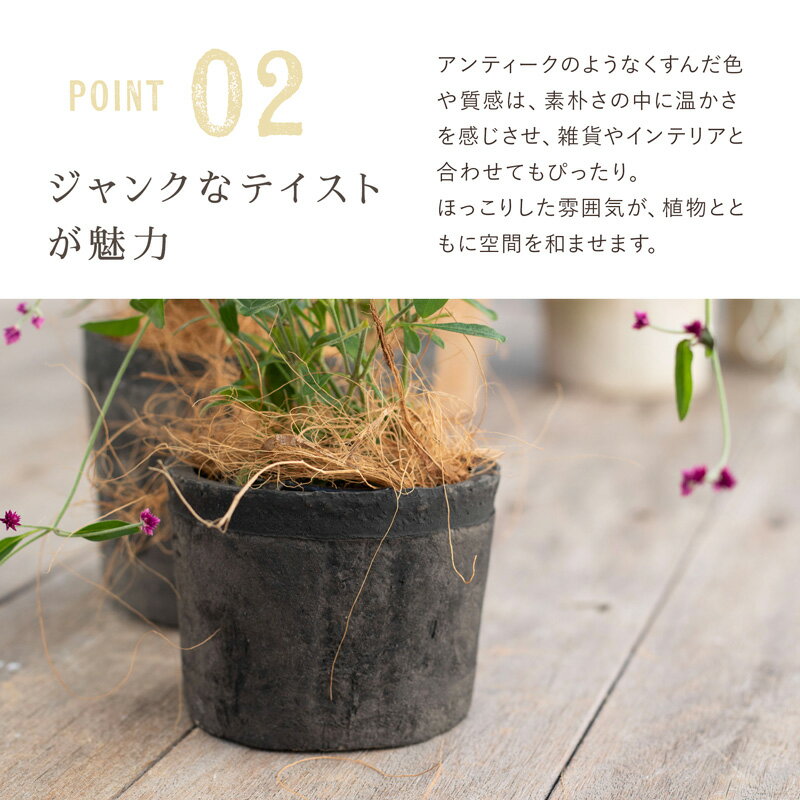 �⥹�ݥå� 700��3�桡���㿢��ȭ ������� ��� ƫ�� �ƥ饳�å� �ǾƤ�ȭ��