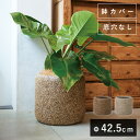 ネイチャーズ・キャスト Rシリンダー 42 ≪植木鉢 おしゃれ 大型 軽量 鉢カバー≫