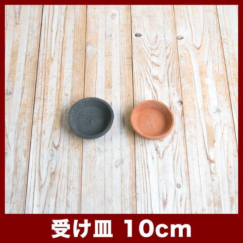 ������A��10cm�����㿢��ȭ ������� ��� ƫ�� �ƥ饳�å� �ǾƤ�ȭ��