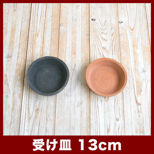 ������B��13cm�����㿢��ȭ ������� ��� ƫ�� �ƥ饳�å� �ǾƤ�ȭ��