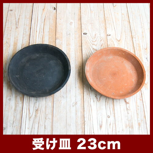 ������F��23cm�����㿢��ȭ ������� ��� ƫ�� �ƥ饳�å� �ǾƤ�ȭ��