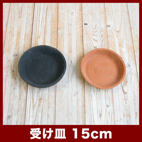 ������C��15cm�����㿢��ȭ ������� ��� ƫ�� �ƥ饳�å� �ǾƤ�ȭ��