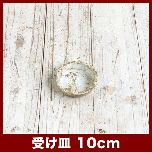 �ۥ磻�ȼ�����A��10cm�����㿢��ȭ ������� ��� ƫ�� �ƥ饳�å� �ǾƤ�ȭ��