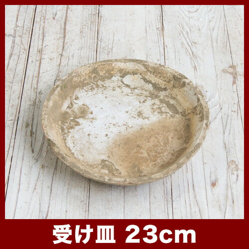 �ۥ磻�ȼ�����D��23cm�����㿢��ȭ ������� ��� ƫ�� �ƥ饳�å� �ǾƤ�ȭ��