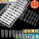 【送料無料】【楽天ランキング1位獲得】Annhua 透明 ネイルチップ 240枚セット 超薄 バレリーナ ネイル クリアチップセット クリアネイルチップ つけ爪 長さだし 透明ネイルチップ 自然なフィット感