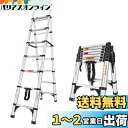 DayPlus 伸縮脚立はしご 最長2.3m 6段+7段 安定 兼用脚立 踏み台 折りたたみ 折り畳み 伸縮アルミはしご 持ち運びに便利 軽量 耐荷重150 k...