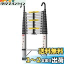 【送料無料】DayPlus伸縮はしご 伸縮梯子多機能 ステンレスはしご アルミ製のはしごではない 自動ロック スライド式 持ち運びやすい 折り畳み 伸縮自在 梯子 室内室外両用 スライド式 フック付き