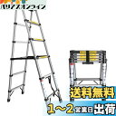 【送料無料】DayPlus 伸縮脚立はしご 兼用脚立 5段+5段 踏み台 折りたたみ式脚立 コンパクト収納 ステンレス製はしご 持ち運び便利 室内屋外両用 大掃...