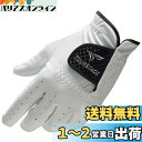 BRIDGESTONE(ブリヂストン) ゴルフグローブ TOURSTAGE GLTS24 ホワイト 25cm メンズ