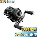 ダイワ(DAIWA) バスベイトリール 24STEEZ(スティーズ) SV TW 100XHL (2024年モデル)