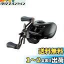 ダイワ(DAIWA) バスベイトリール 24STEEZ(スティーズ) SV TW 100H (2024年モデル)