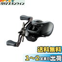 ダイワ(DAIWA) バスベイトリール 24STEEZ(スティーズ) SV TW 100 (2024年モデル)
