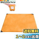 TRIWONDER レジャーシート コンパクト 軽量 グランドシート ピクニックシート キャンプ シート ビーチマット テント タープ 防水 ミニ アウトドア ...
