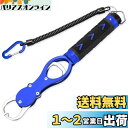 SINTYAN フィッシュグリップ 魚掴み器 計量機能付き 最大荷重30kg 360度水平回転式握り 滑り止め 落下防止 高耐久 防錆