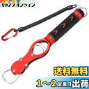 SINTYAN フィッシュグリップ 魚掴み器 計量機能付き 最大荷重30kg 360度水平回転式握り 滑り止め 落下防止 高耐久 防錆